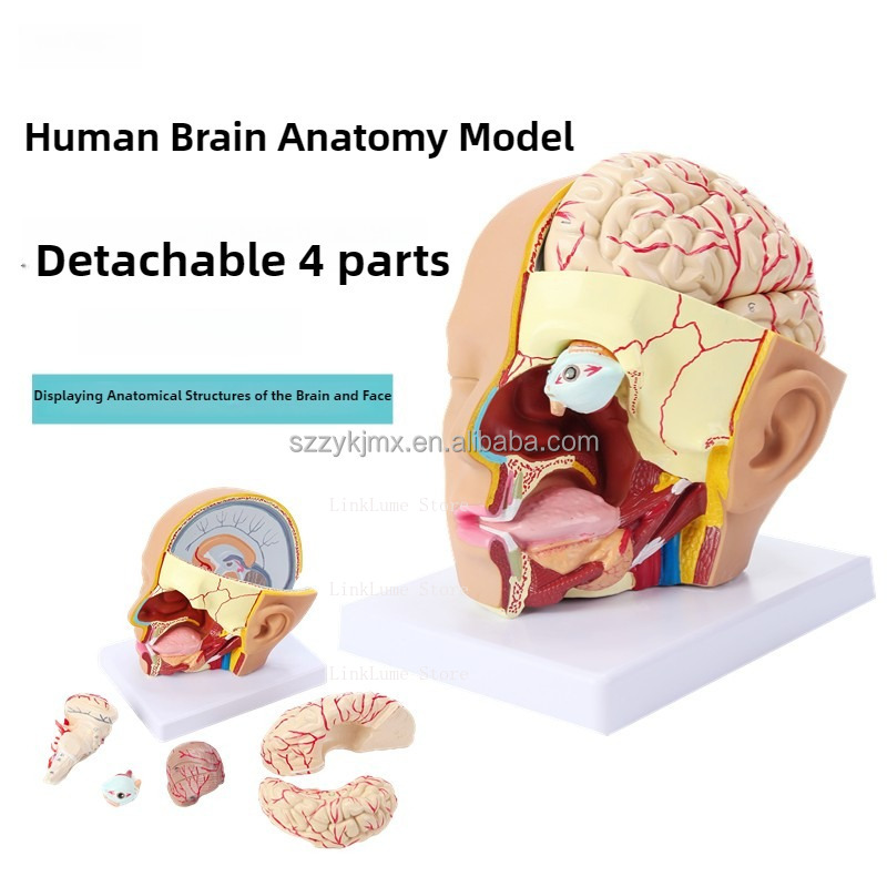 Medical Science Resource Human - Medical Lab And Science recension och pris