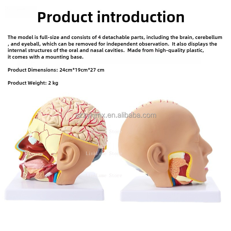 Medical Science Resource Human - Medical Lab And Science recension och pris