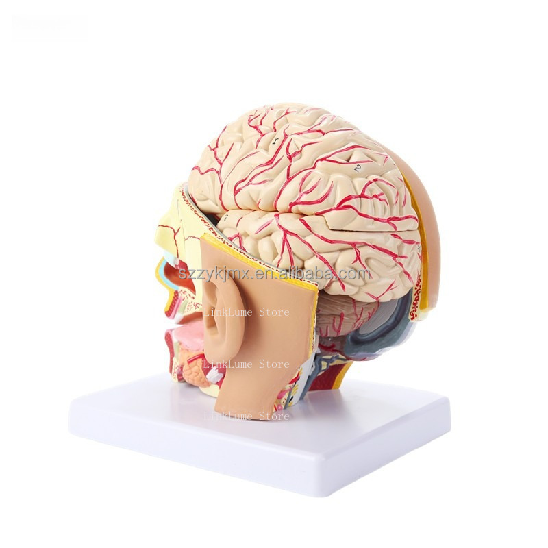 Medical Science Resource Human - Medical Lab And Science recension och pris