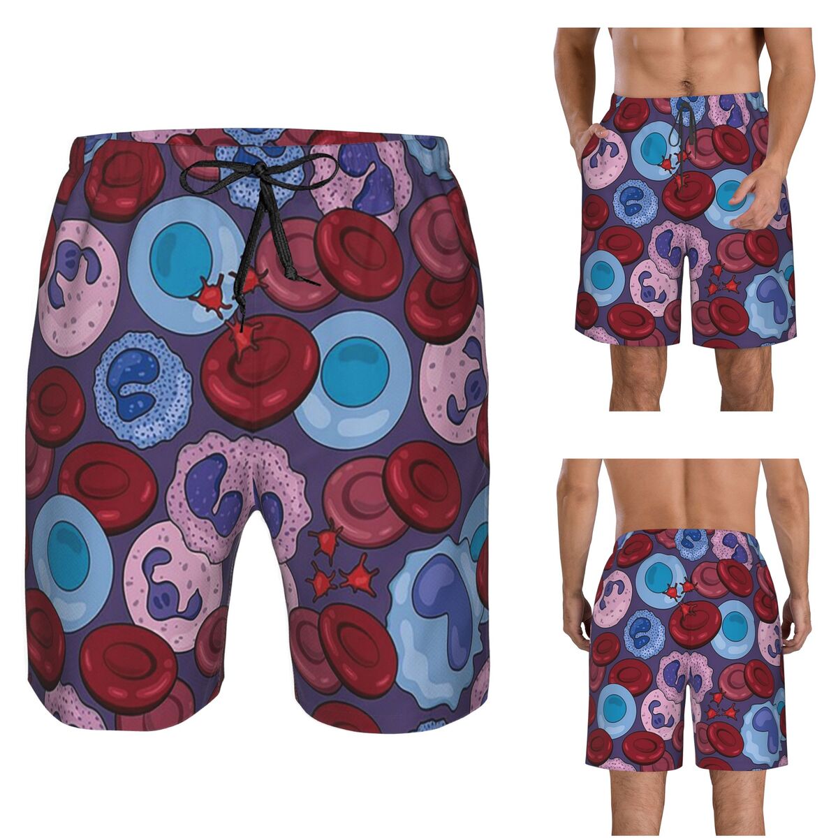 Hematology Blood Cells Medical - Medical Lab Board recension och pris